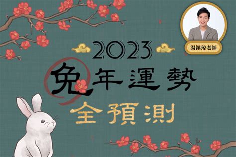 生肖豬2023|2023兔年運勢全預測／湯鎮瑋：生肖豬今年事業前程看好，財運。